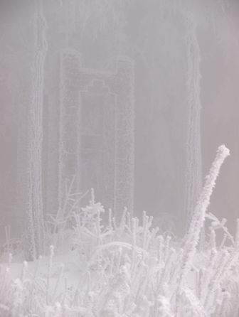 p1301332