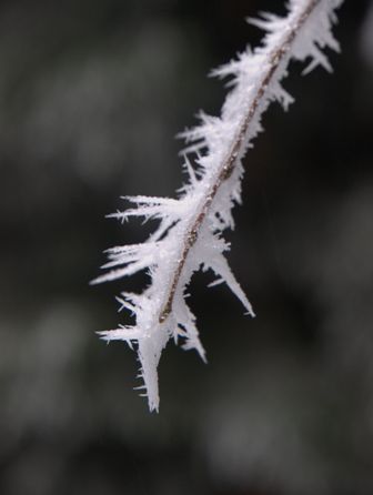 p1301392