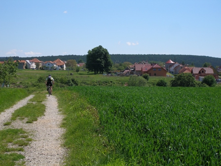 p6054382