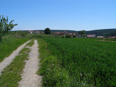 p6054383