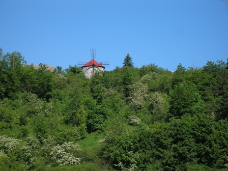 p6054384